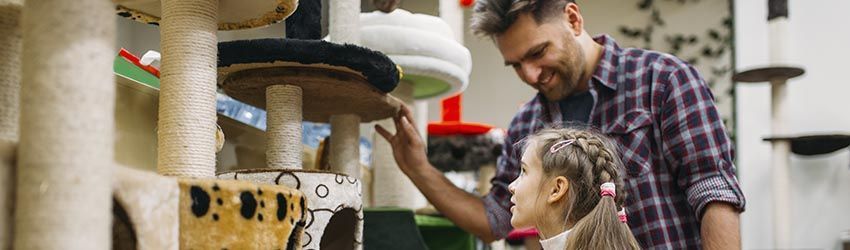 Pet Shop: 10 Dicas para aumentar as vendas