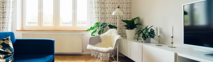 Alojamento Local: 6 Dicas para o Sucesso!