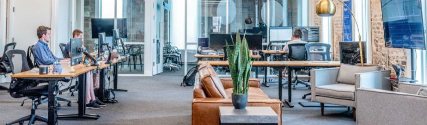 Responsabilidade Social das Empresas